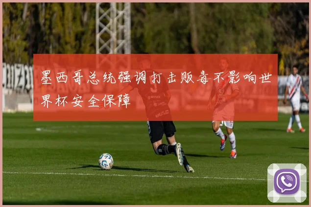 墨西哥总统强调打击贩毒不影响世界杯安全保障