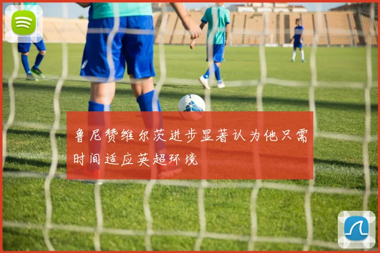 鲁尼赞维尔茨进步显著认为他只需时间适应英超环境