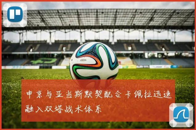 申京与亚当斯默契配合卡佩拉迅速融入双塔战术体系
