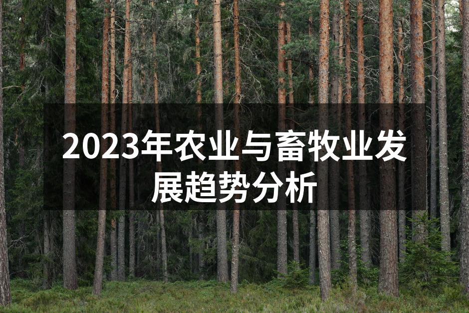 现代农业技术助力丰收