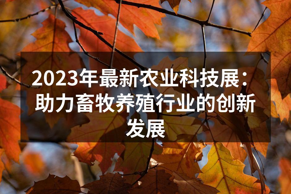 农业科技展的现场热闹非凡