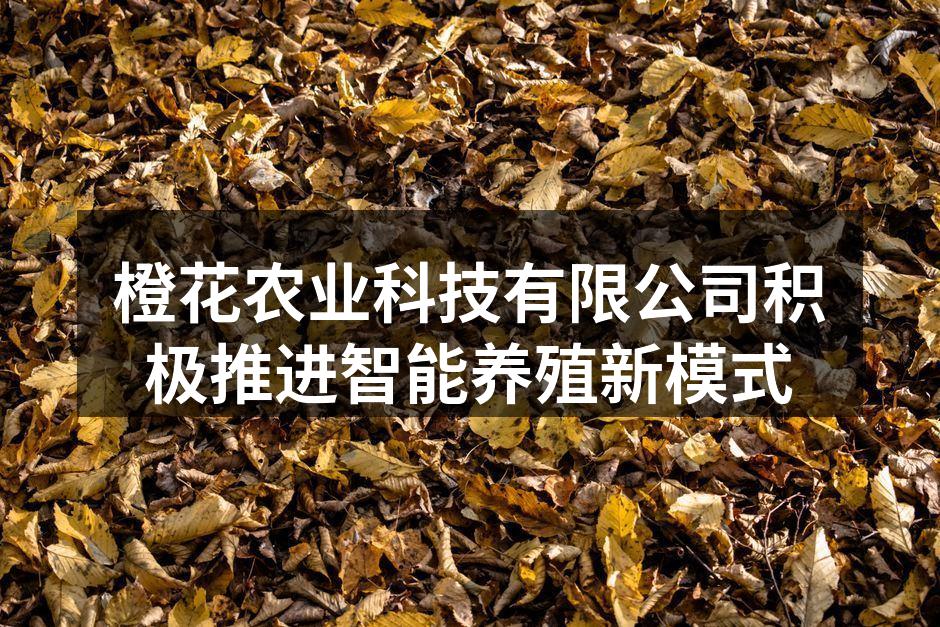 智能养殖现场监控